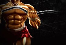 The pros and cons of the Netflix anime studio partnership